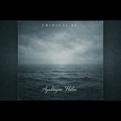 Ayaktayim Hâlen - Single