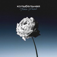 Колыбельная - Single - Tomá Polák