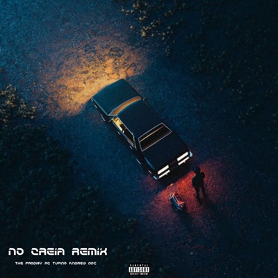 No Creia (Remix) - Single