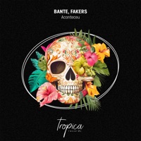 Aconteceu - Single - Bante & Fakers