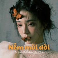Nếm Mùi Đời (Lofi) - Beat - Single - Jin Tuấn Nam & Đoàn Lâm