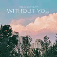Without You (Acoustic Guitar) - Single - Iqbal Gumilar