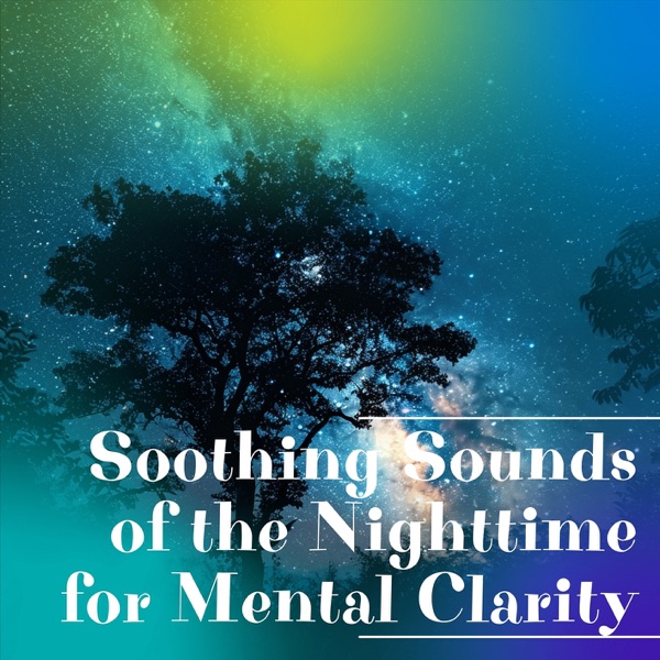 Soothing Sounds of the Nighttime for Mental Clarity