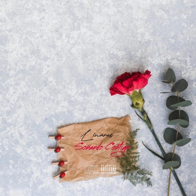 SOÑANDO CONTIGO - Single
