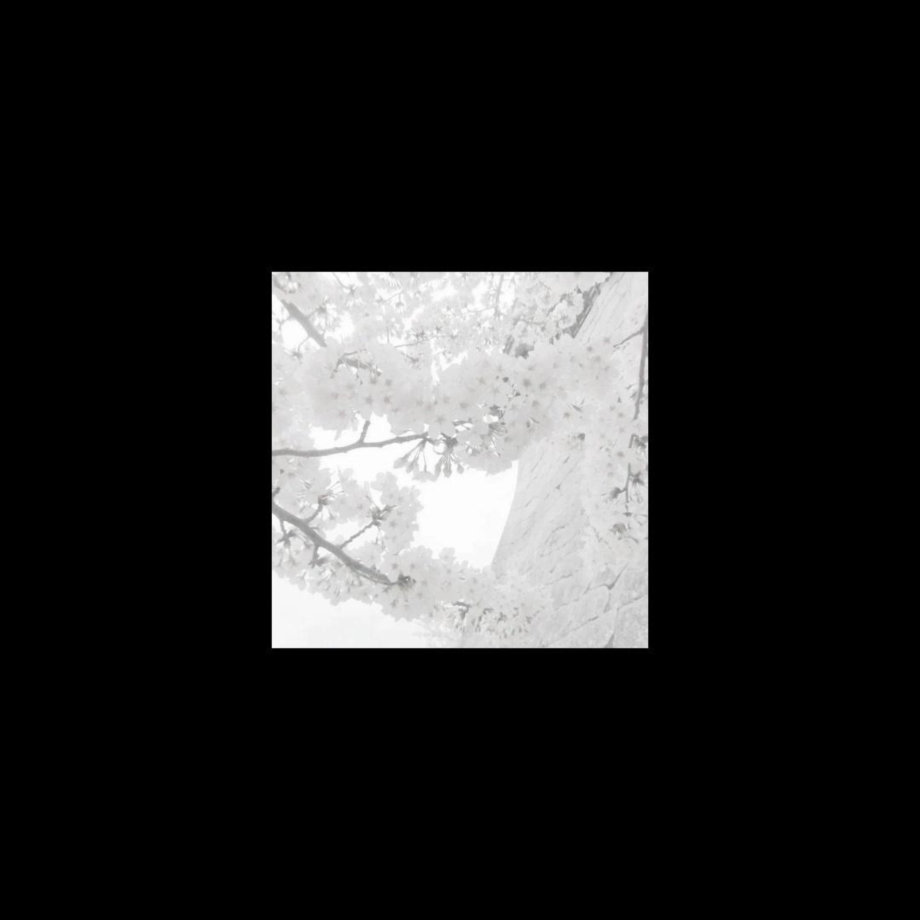 Deep and Dive - Single