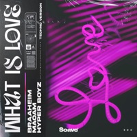 What Is Love (Techno Version) - Single - Braaheim, Maoam & HYPER BOYZ