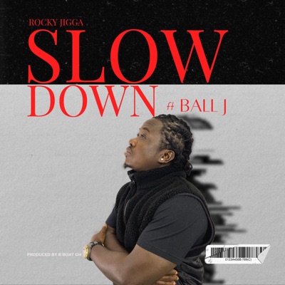 Slow Down (feat. Ball J) - Single