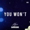 You Won't (feat. 3URVEDOE) - Astro Nova lyrics