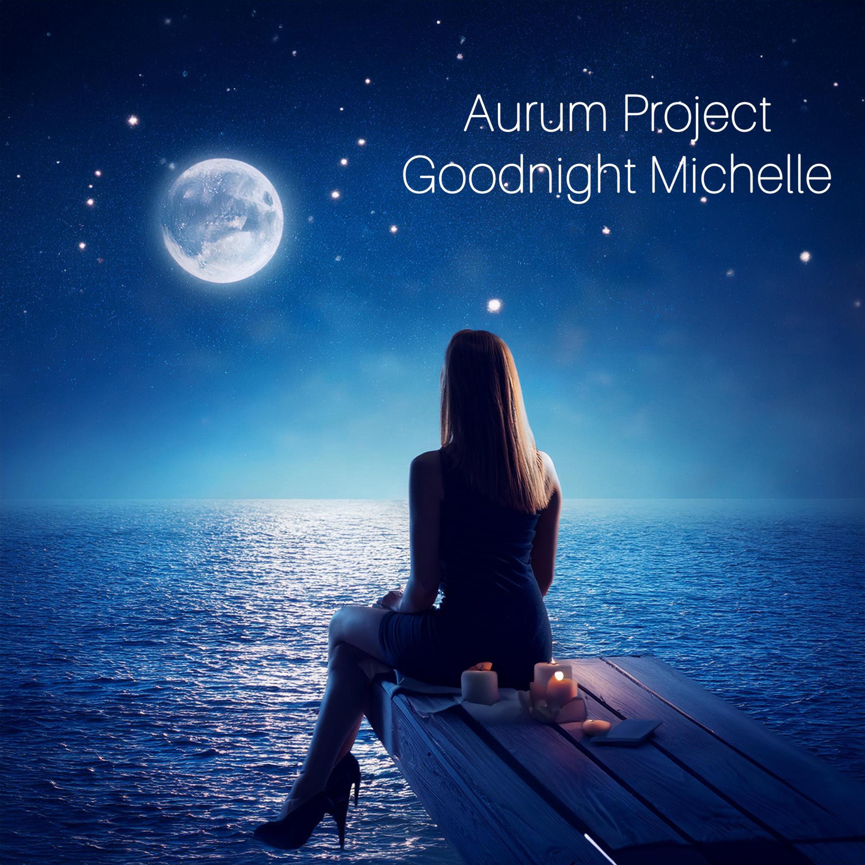 Goodnight Michelle - Single