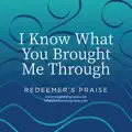 I Know What You Brought Me Through