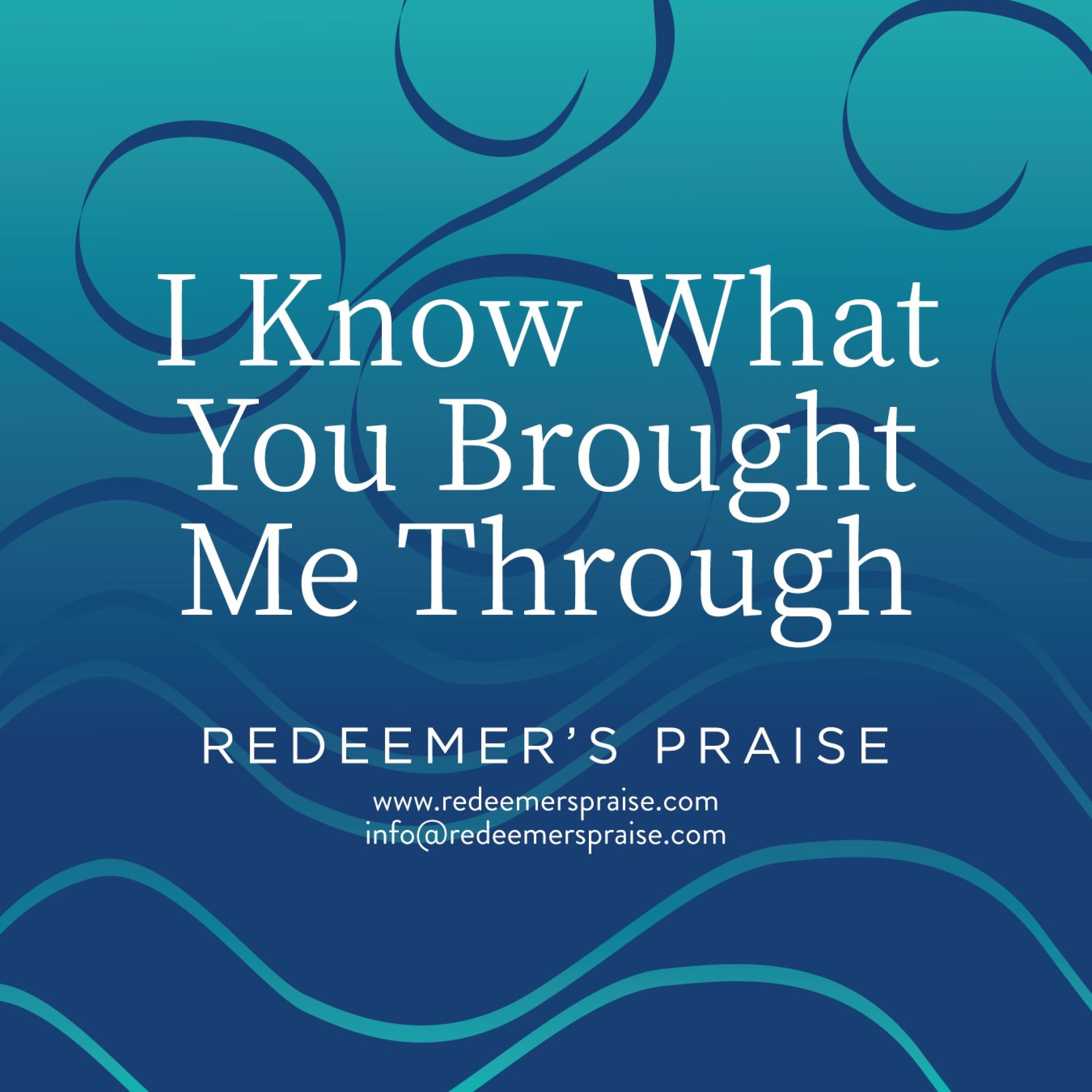 I Know What You Brought Me Through - Single