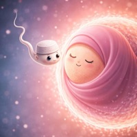 The Purpose in Life - Single - RRome Alone