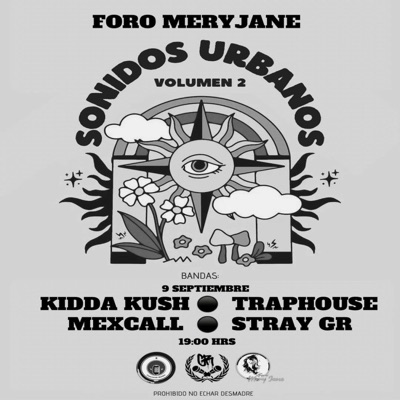 QUE LLUEVAN BILLETES (feat. Wero) [En vivo] - Single