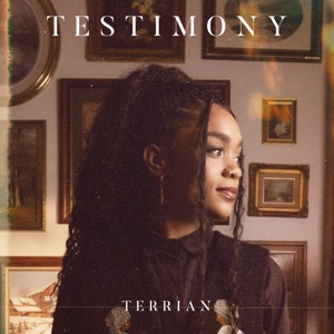 Album cover for Testimony - Single