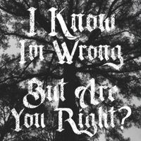 I Know I'm Wrong, But Are You Right? (feat. Kris Night) - Single - Tiny Tim Tj