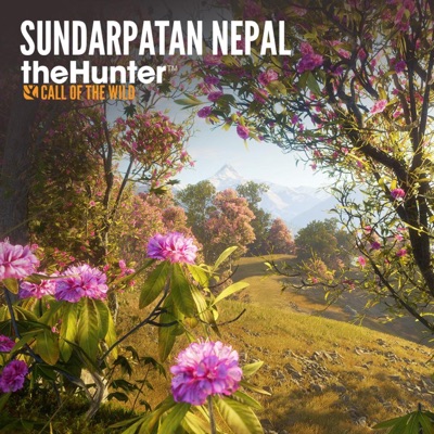 Sundarpatan (Main Theme) - Single
