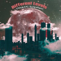 Different Levels (feat. Backendspazz) - Single - TMUKAM