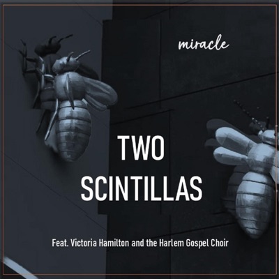 Miracle (feat. Victoria Hamilton and the Harlem Gospel Choir) - Single