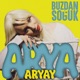 Arya Aryay - Buzdan Soğuk