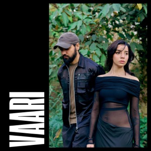 VAARI (feat. Raj)