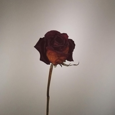DECLIVE - Single