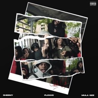 Push Up (feat. Mula gzz & Floxks) - Single - Sheemy