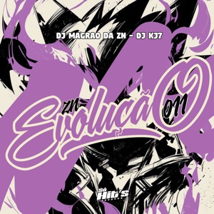 Zn Evolução 011