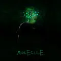Molecule