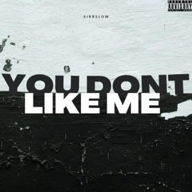 You Dont Like Me Sirbelow