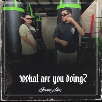 What Are You Doing? (feat. Clandestylo) - Single - Gremalex