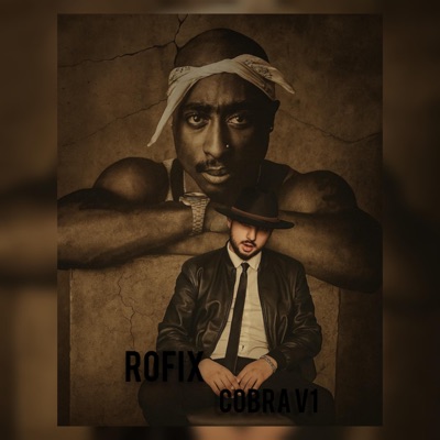 Cobra V1 (feat. Rofix Officiel) - Single