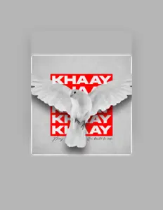 收听 KHAAY、观看音乐视频、阅读小传、查看巡演日期等 ！