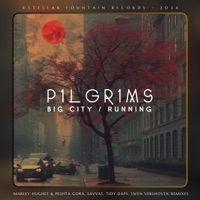 Big City (Tidy Daps Remix) - Single - P1lgr1ms