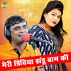 Meri Dibiya Jhandu Baam Ki - Single