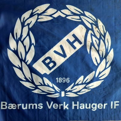 BVH sangen 2025 (Radio Edit) - Single