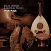 Bilal Irshed & Global Tunes - Endnu en Sang fra de Varme Lande