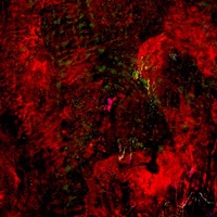 TRYNA POISON THE HEALTH INSPECTOR TYPE BEAT - Single - Talezy