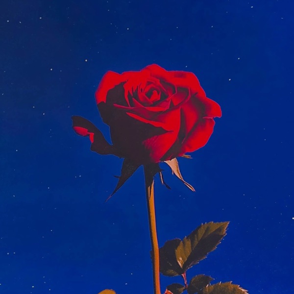 Self-Reflection - Single
