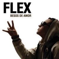 Besos de Amor (feat. Nigga & Ricky Rick) - Single - Flex