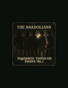 Ascolta Ali Ayhan, guarda video musicali, leggi la biografia, vedi le date del tour & altro!