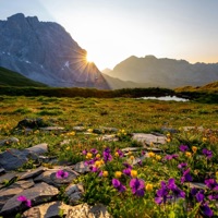 music to wake up to - Khwezi