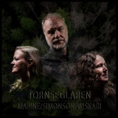 Ingenjörspolskan