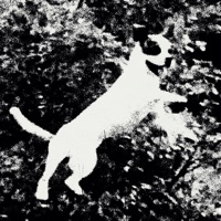 Azura - EP - Edmondson