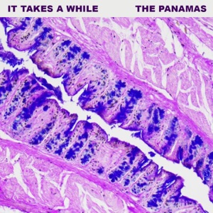 It Takes a While - EP