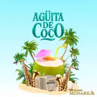 AGUITA DE COCO