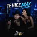 Te Hice Mal