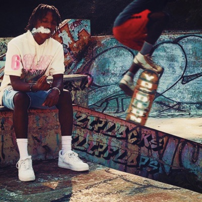 Ziplocks & Flipflops - Single