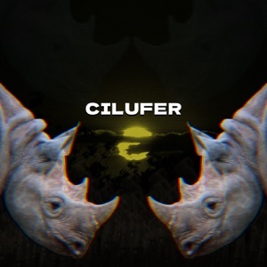 cilufer (2025 Remastered Version)