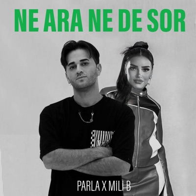 NE ARA NE DE SOR - Single