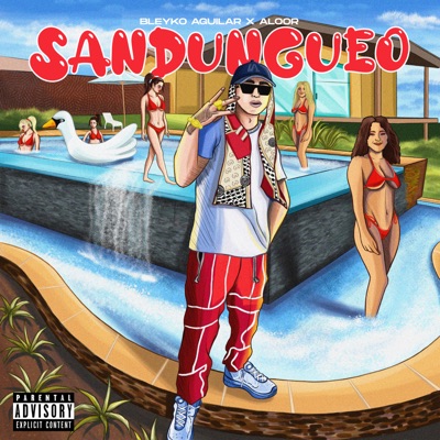 Sandungueo - Single